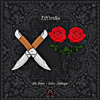 12 Cortes by Mc Booz