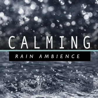 Calming Rain Ambience by Unknown Artist