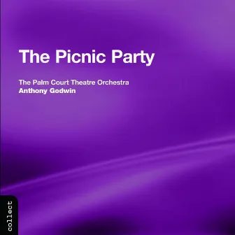 The Picnic Party by Anthony Godwin