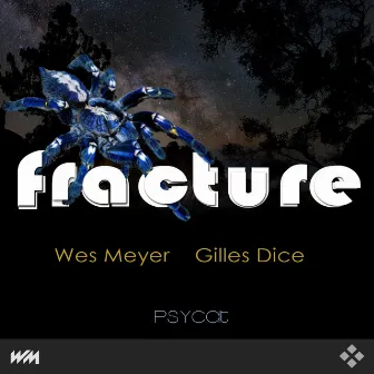 Fracture by Wes Meyer