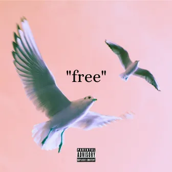 Free by McLaren Carter