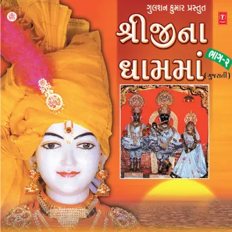 Sreeji Na Dham Ma Vol-2 by Hashmukh Patadia