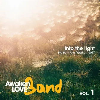 Into the Light by Awaken Love Band