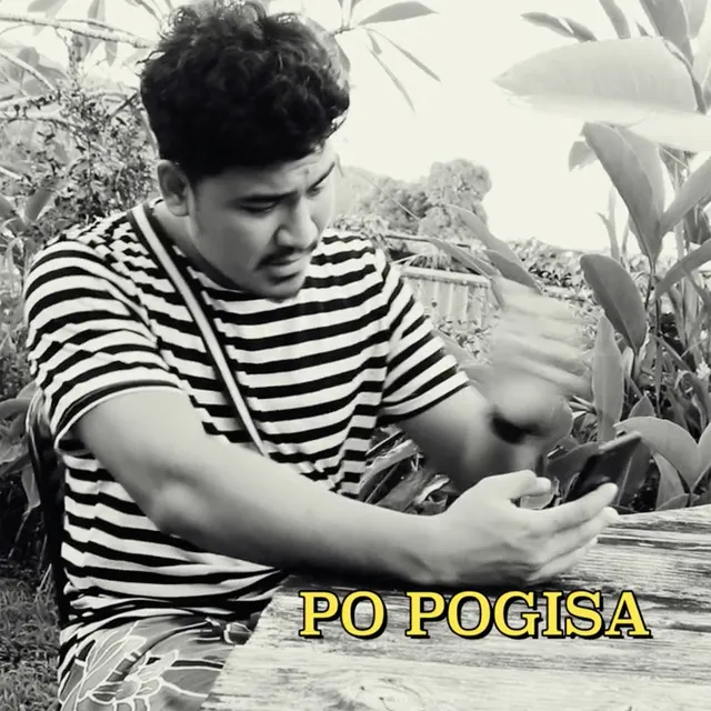 Po Pogisa