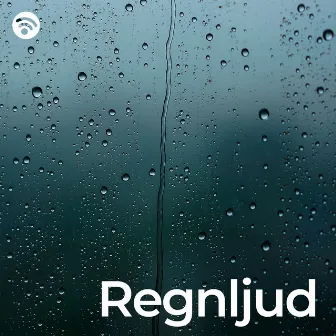 Regnljud by Wonderful Escape