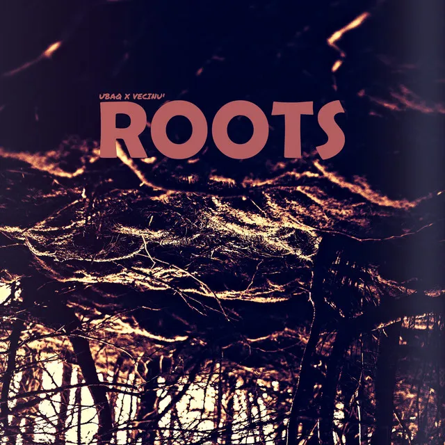 Roots