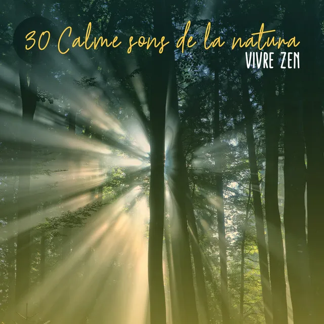 30 Calme sons de la natura: Vivre Zen, Yoga harmonieux, Massages, Bonne humeur, Sommeil profond, Mer, Bien-etre musique, Bruit paisible blanc