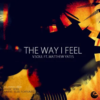 The Way I Feel by Matthew Yates