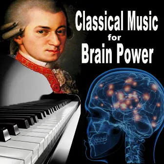 Classical Music for Brain Power - Bach, Mozart, Van Beethoven, Chopin, Pachelbel, Scarlatti, Debussy (Classical Study Music for Stimulation Concentration Studying and Focus) by Classical Music for Brain Power