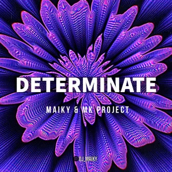 Determinate by Dj Maiky