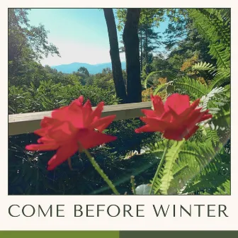 Come Before Winter by Barrett Myers