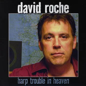 Harp Trouble In Heaven by David Roche