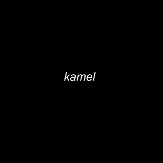 Kamel by LS-Dom