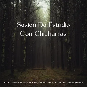 Sesión De Estudio Con Chicharras: Relajación Con Sonidos Del Bosque Para Un Aprendizaje Profundo by Momentos relajantes de música de estudio