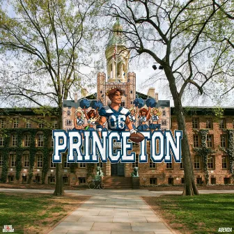 Princeton by Agenda