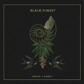 Black Forest - Random Collective Records by Landhouse