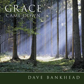 Grace Came Down by Dave Bankhead