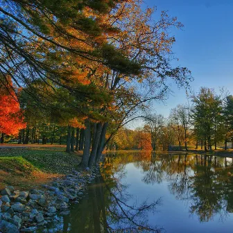 Meditation Focus Music | Sounds of Nature | Calm Nature by Tibetan Singing Bowls for Relaxation