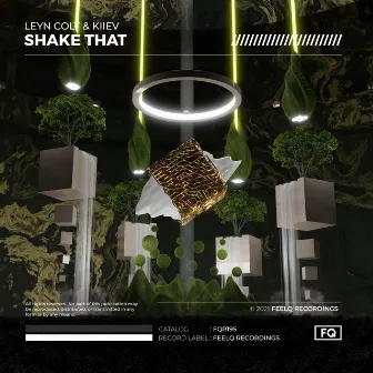 Shake That by Kiiev