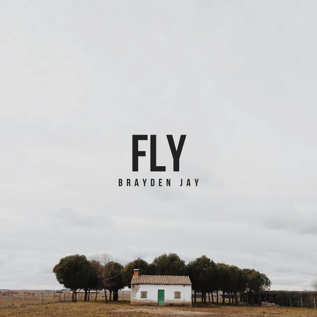 Fly