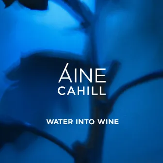 Water Into Wine by Áine