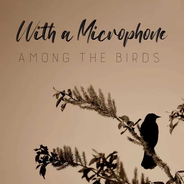 With a Microphone Among the Birds (Most Beautiful Relaxing Bird Sounds)