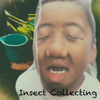 Insect Collecting by KID