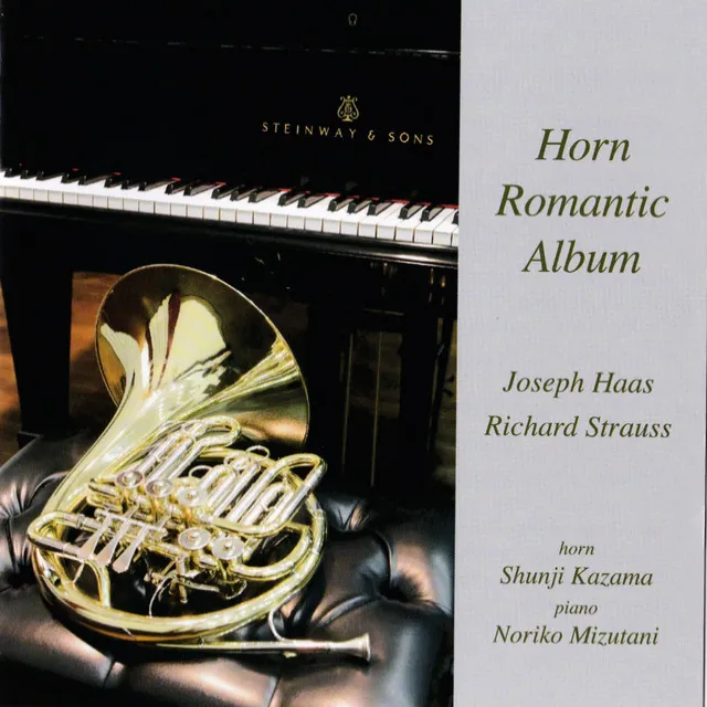 Horn Concerto No. 1 in E-Flat Major, Op. 11, TrV 117 (Version for Horn & Piano): I. Allegro