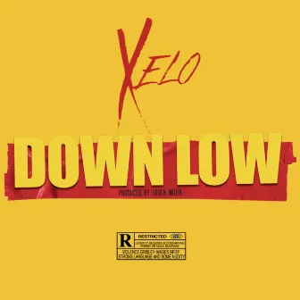 Down Low by Xelo