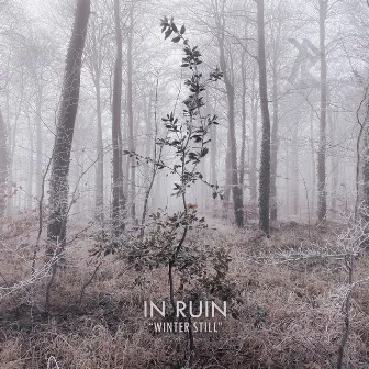 Winter Still by In Ruin