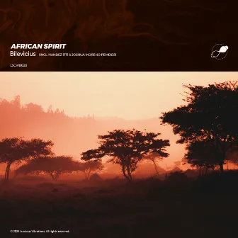 African Spirit (NandeZ Remix) by 