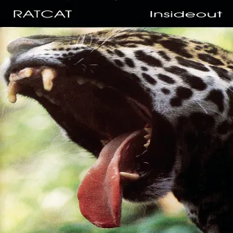 Inside Out by Ratcat