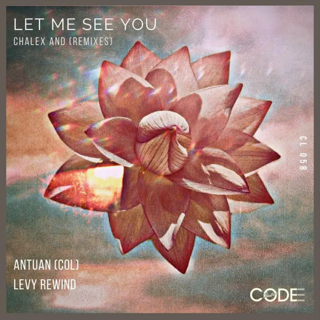 Let Me See You - Levy Rewind Remix