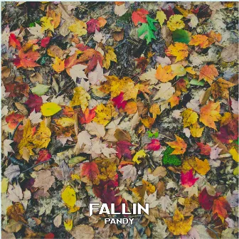 Fallin' by Pandy