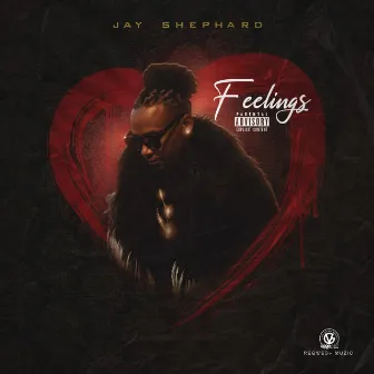 Feelings by Jay Shephard