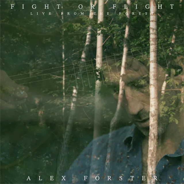 Fight or Flight (Live from the Forest)