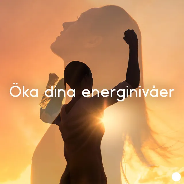 Öka dina energinivåer: Oändligt överflöd av energi för kärlek, Hälsa och välstånd