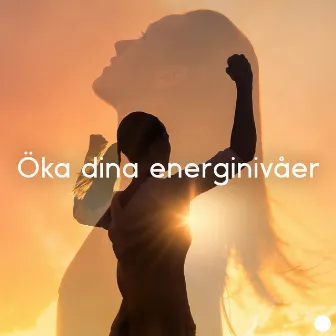 Öka dina energinivåer: Oändligt överflöd av energi för kärlek, Hälsa och välstånd by Djup Sömn Musikterapi