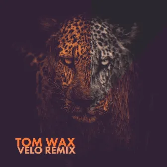 Velo (Tom Wax Remix) by NEWMEN