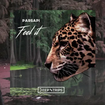 Feel it by PARSAPi