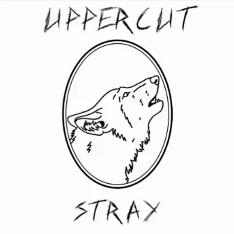 Stray by Uppercut