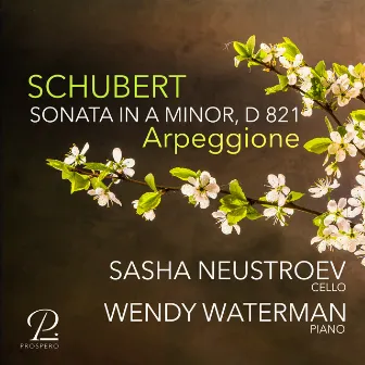 Schubert: Sonata in A Minor, D. 821 