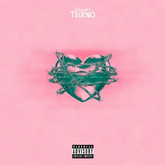 Tierno by Shader