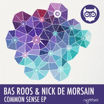 Common Sense EP by Bas Roos