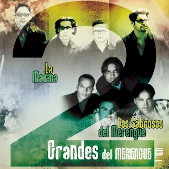 2 Grandes Del Merengue Vol. 1 by Los Sabrosos Del Merengue