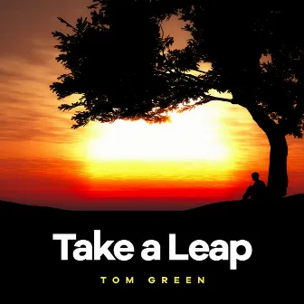 Take a Leap by Tom Green