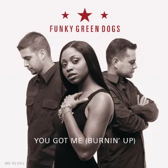 You Got Me (Burnin' Up) by Funky Green Dogs