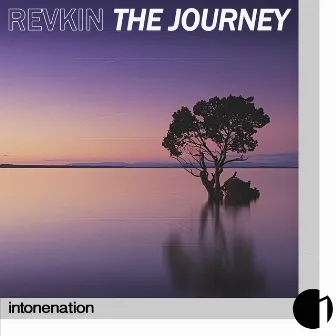 The Journey by Revkin