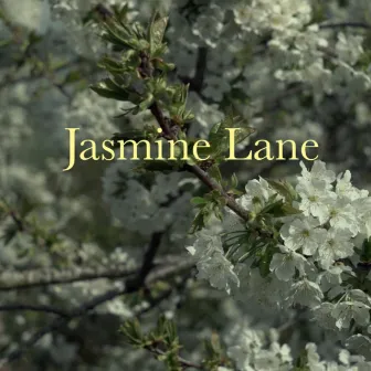 Jasmine Lane (Official Soundtrack) by Clovis Schneider