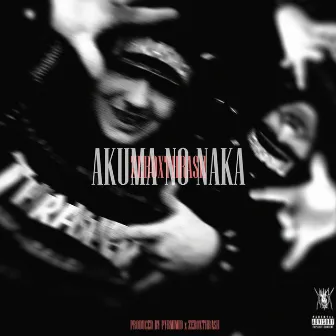 AKUMA NO NAKA by zer0xthrash